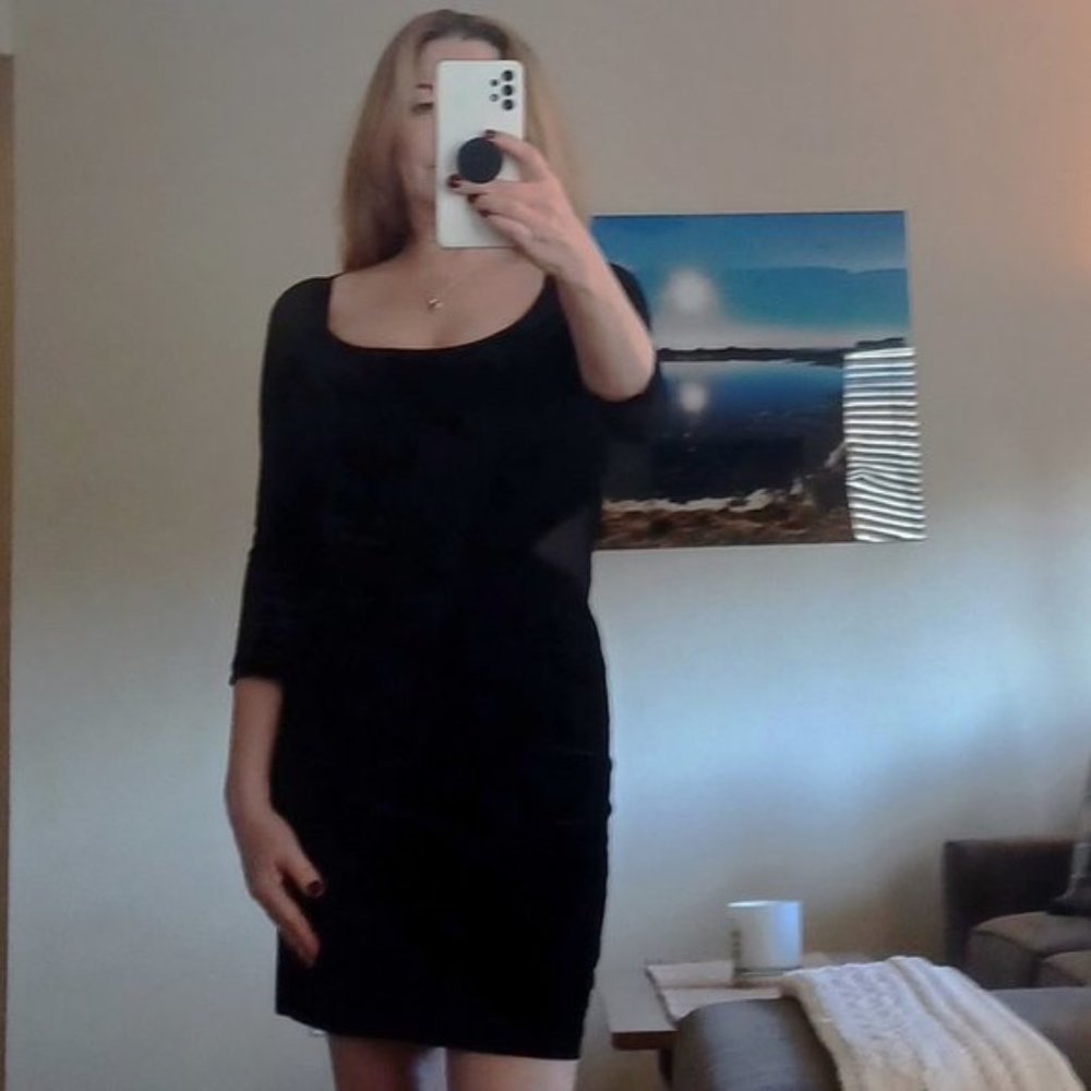 Bardot Velvet & Mesh Dress - Picture 9 of 10